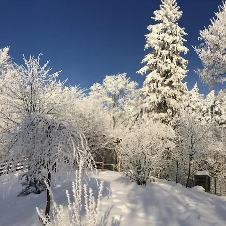 Villa Bukowy Zdroj Krynica-Zdrój Esterno foto