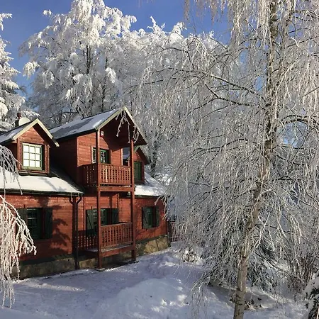 Villa Bukowy Zdroj Krynica-Zdrój Esterno foto