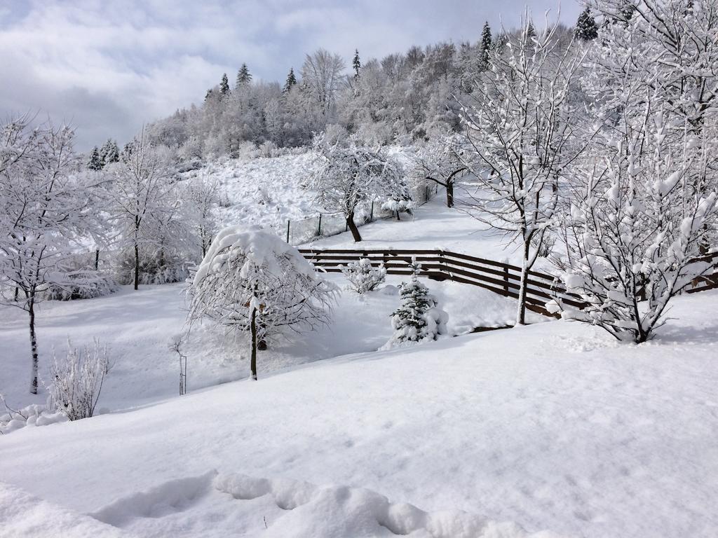 Сasa de vacaciones Bukowy Zdrój Krynica-Zdrój